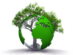 Financement participatif pour la croissance verte