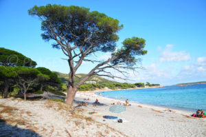 La plage de Palombaggia en Corse