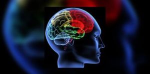 La sclérose en plaques, une maladie neurologique