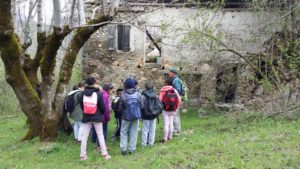 La classe verte, un moment privilégié de l'année scolaire