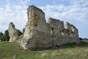 Les vestiges du château de Vatteville la Rue méritent d'être préservés