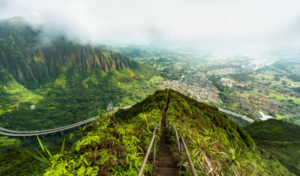 Hawaii, l'île d'Oahu, lieu de leur rencontre