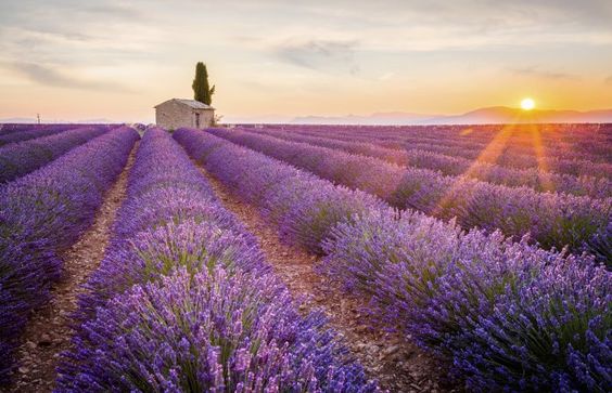 Les plus belles choses à faire en Provence tourisme